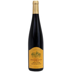 Pinot Noir Elevé en Fût de Chêne 2024
