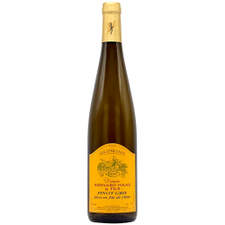 Pinot Gris Elevé en Fût de Chêne