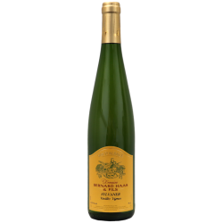Sylvaner Vieilles Vignes 2023